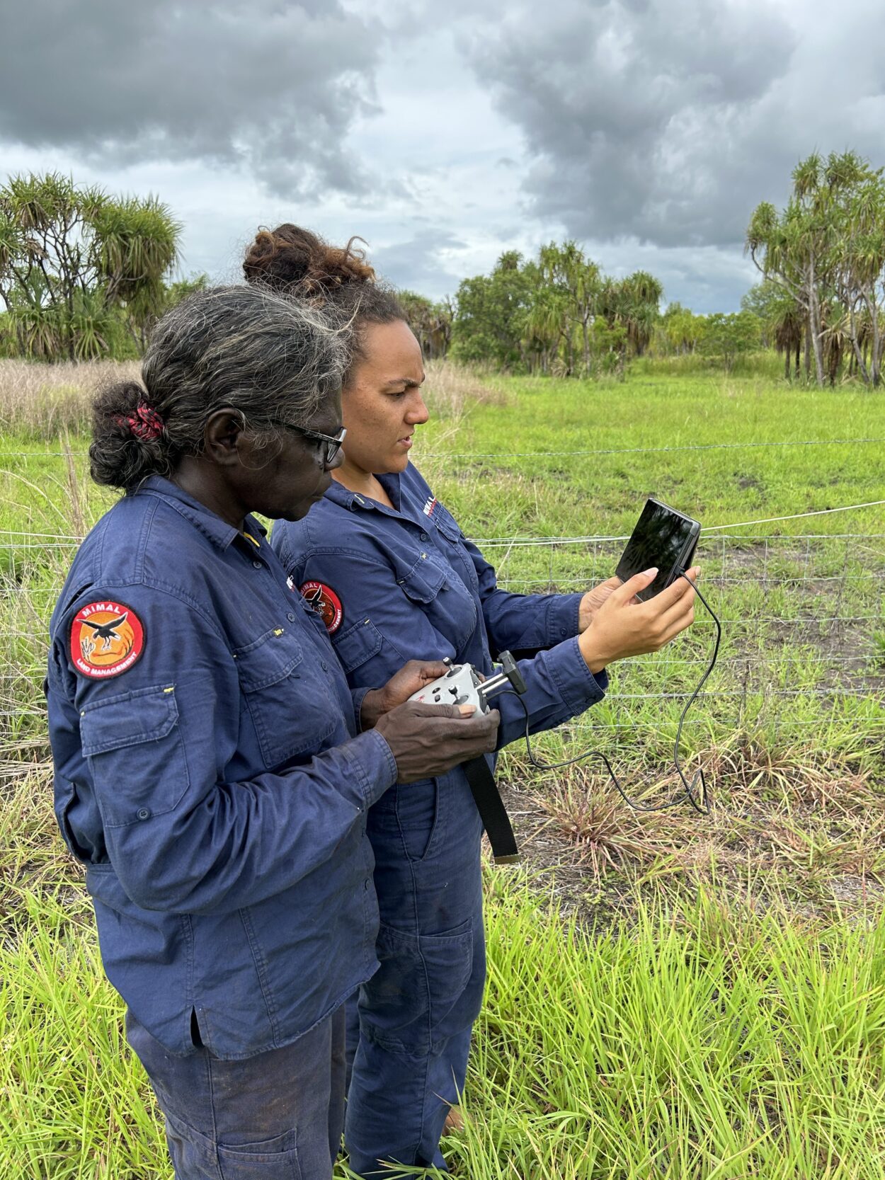 2 Credit Mimal Land Management