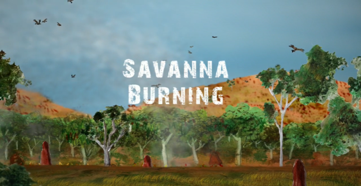 Savanna Burning Video